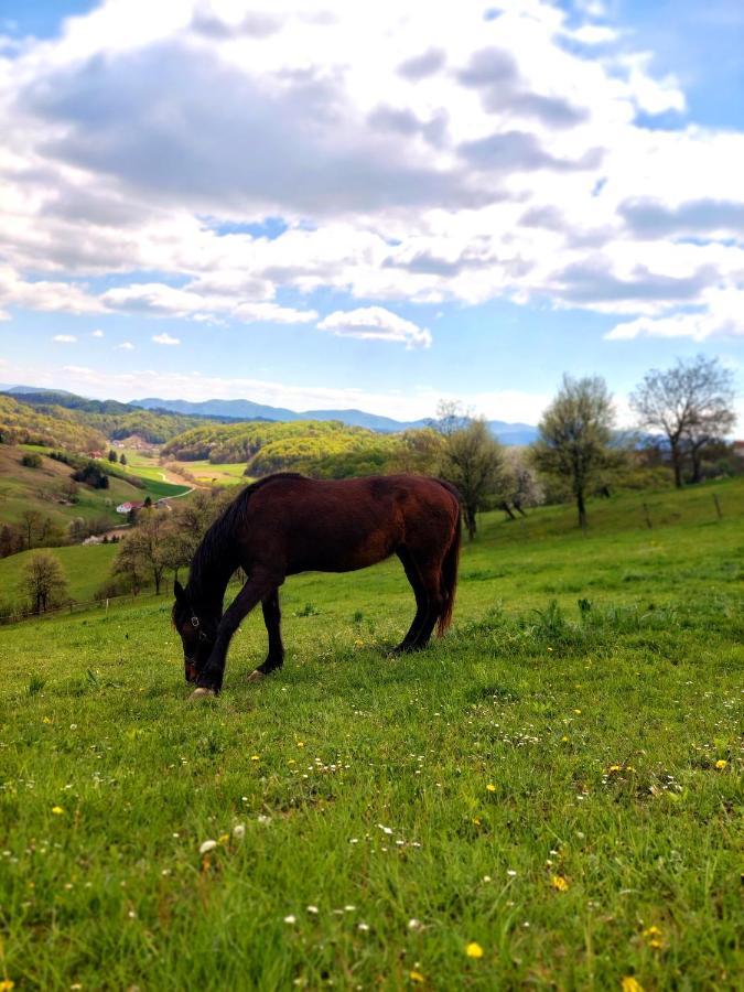 Masnec Tourist Farm Villa Miljana Exteriör bild